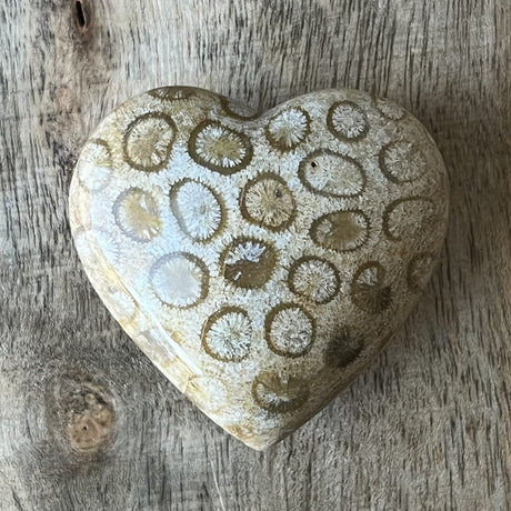 2" Puffed Gemstone Heart - Fossil Coral - Magick Magick.com