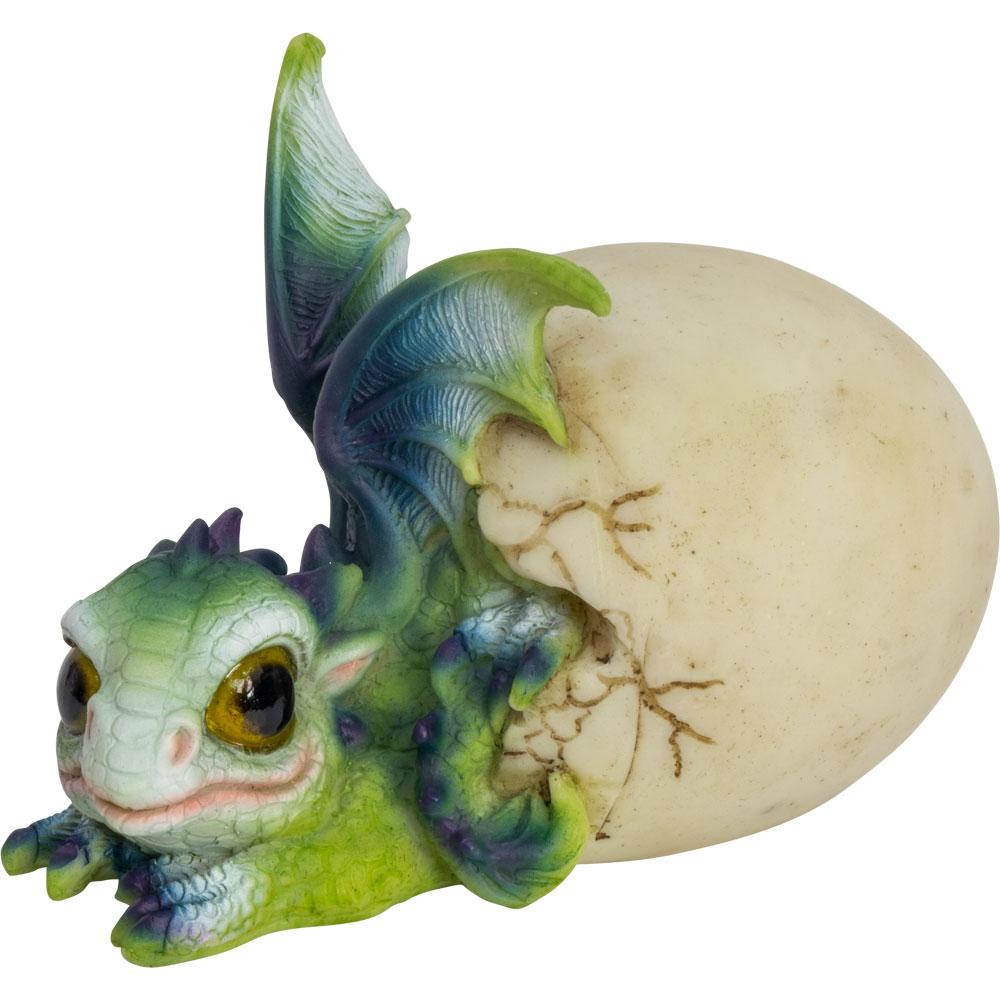 baby dragon hatching from egg