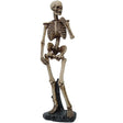 10.5" Skeleton Sculpture Statue - Magick Magick.com