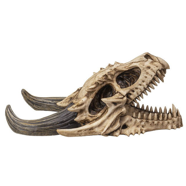 11.5" Dragon Skull Statue - Magick Magick.com