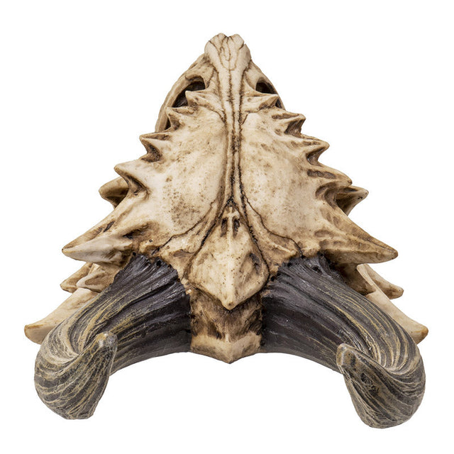 11.5" Dragon Skull Statue - Magick Magick.com