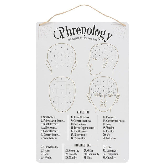 11.8" Phrenology Map Science of the Human Mind Wall Decor - Magick Magick.com