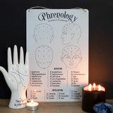 11.8" Phrenology Map Science of the Human Mind Wall Decor - Magick Magick.com