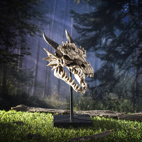 12.5" Dragon Skull on Stand Statue - Magick Magick.com