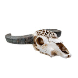 15.9" Cow Skull Wall Hanging (LED Light Up) - Magick Magick.com