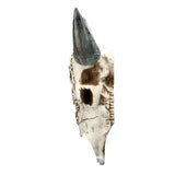 18" Carved Bison Skull Statue - Magick Magick.com