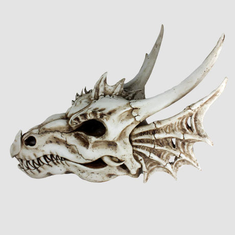 19.5" Dragon Skull Statue - Magick Magick.com