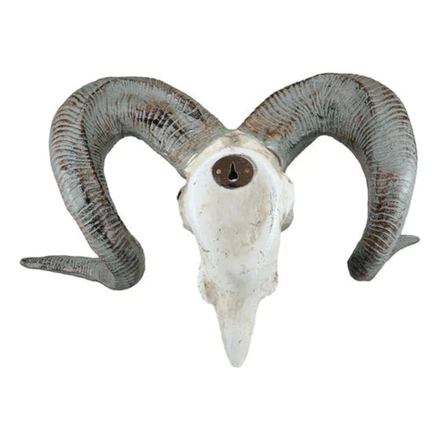 20" Carved Ram Skull Statue - Magick Magick.com