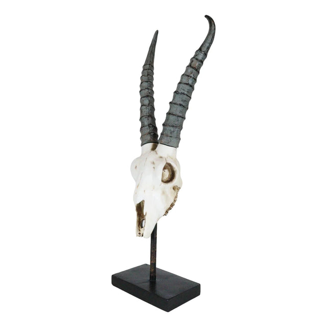 29.5" Antelope Skull on Stand Statue - Magick Magick.com