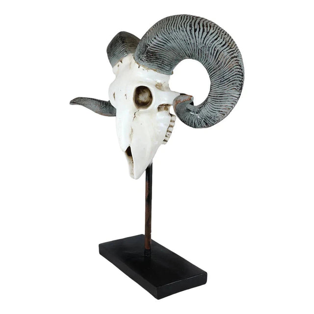 29.5" Ram Skull on Stand Statue - Magick Magick.com