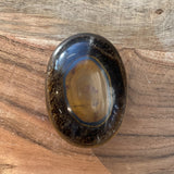 2.5" Palm Stone - Tigers Eye - Magick Magick.com