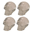 2.75" Translucent Skull Statue (Pack of 4) - Magick Magick.com