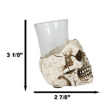 3" Resin and Glass Skull Shot Glass - Magick Magick.com