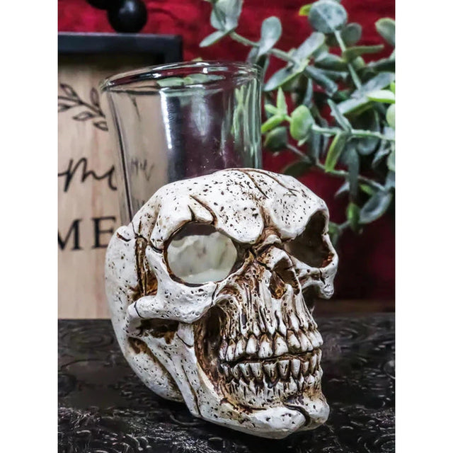 3" Resin and Glass Skull Shot Glass - Magick Magick.com