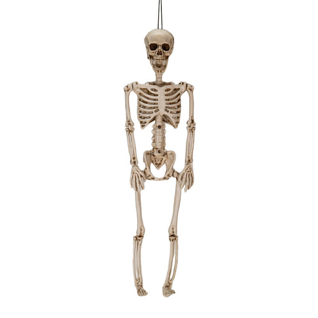 36" Hanging Skeleton - Magick Magick.com