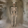 36" Hanging Skeleton - Magick Magick.com