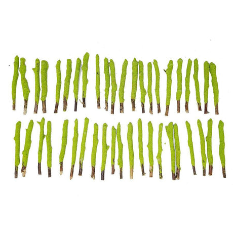 4" Apple Cinnamon Dipped Natural Sage Tree Branch Sticks (5 Pack) - Magick Magick.com