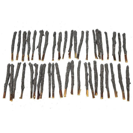 4" Black Copal Dipped Natural Sage Tree Branch Sticks (5 Pack) - Magick Magick.com