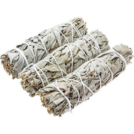 4" California White Sage Smudge Stick - Magick Magick.com