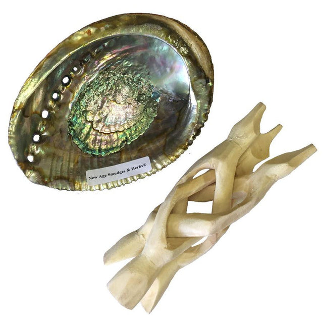 5-6" Abalone Shell with Natural Wooden Tripod - Magick Magick.com