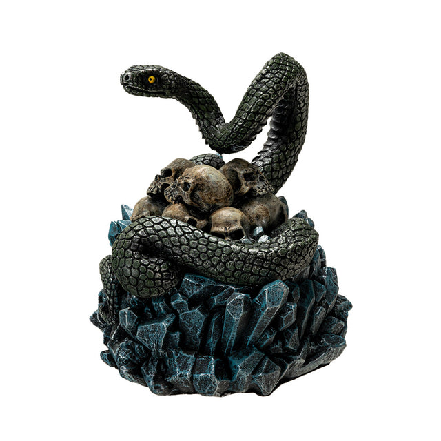 5.7" Snake and Skulls Display Box - Magick Magick.com