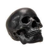 7.3" Black Skull Statue - Magick Magick.com