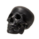 7.3" Black Skull Statue - Magick Magick.com