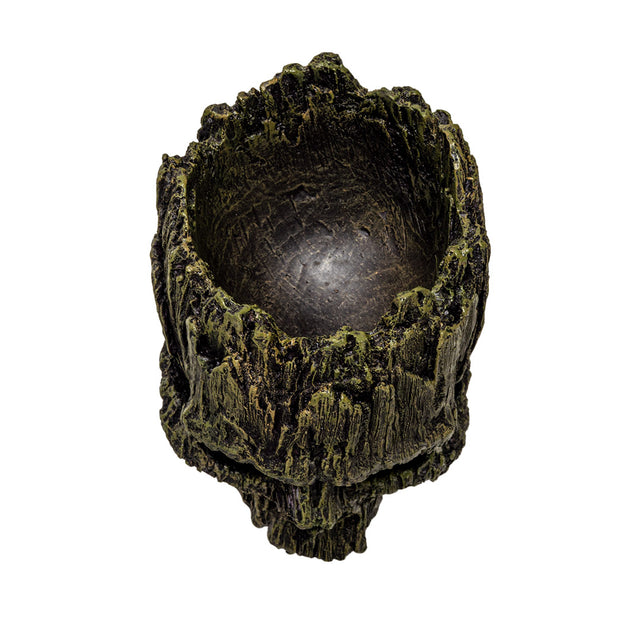 7.3" Tree Skull Planter - Magick Magick.com