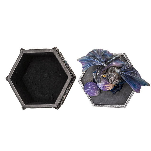 7.5" Anne Stokes Dragon Friendship Spring Display Box - Magick Magick.com