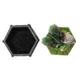 7.50" Anne Stokes Dragon Friendship Summer Display Box - Magick Magick.com