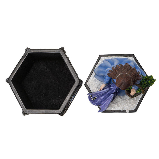 7.50" Anne Stokes Dragon Friendship Winter Display Box - Magick Magick.com