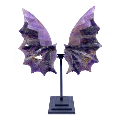 8-9.5" Chevron Amethyst Dragon Wings on Black Metal Stand - Magick Magick.com