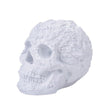 8" White Rococo Skull Statue - Magick Magick.com