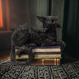 8.25" Wicked Black Cat on Books with LED Eyes Statue - Magick Magick.com