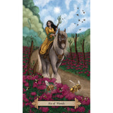 Bee Tarot Kit by Kristoffer Hughes, Nadia Turner (Signed Copy) - Magick Magick.com