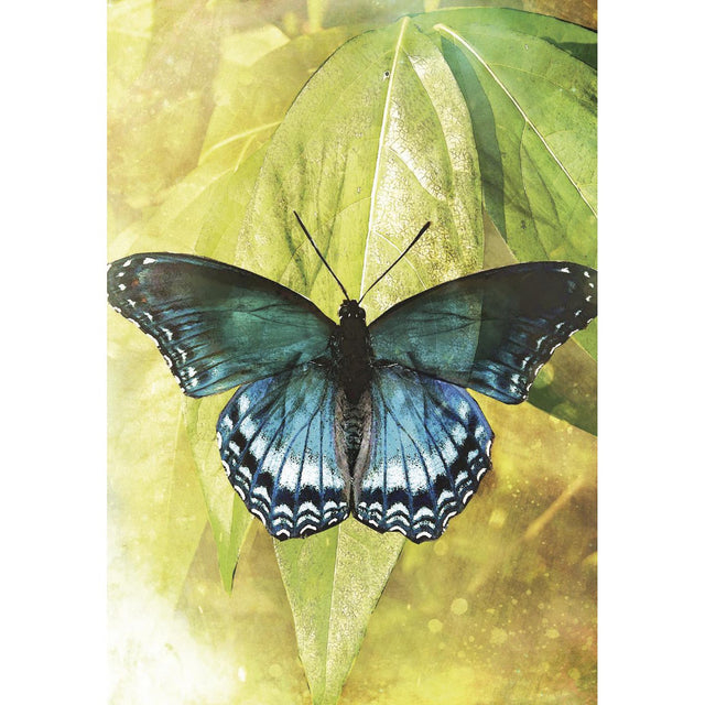 Butterfly Transformations Cards by Alana Fairchild, Jimmy Manton - Magick Magick.com