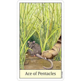 Cat's Eye Tarot Deck by Debra M. Givin - Magick Magick.com