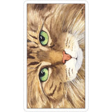 Cat's Eye Tarot Deck by Debra M. Givin - Magick Magick.com