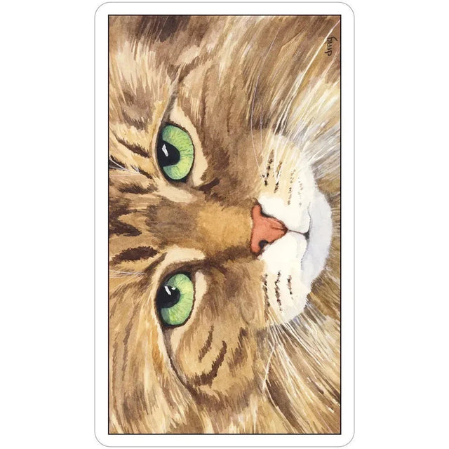 Cat's Eye Tarot Deck by Debra M. Givin - Magick Magick.com