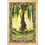 Celtic Tree Oracle by Sharlyn Hidalgo, Jimmy Manton - Magick Magick.com