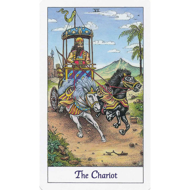 Cosmic Tarot Deck by Norbert Losche - Magick Magick.com