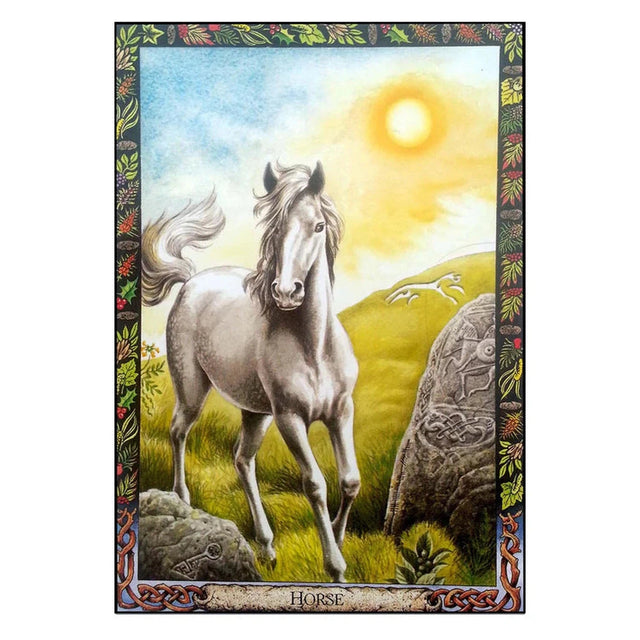 Druid Animal Oracle Deck (Bird) by Philip Carr-Gomm, Stephanie Carr-Gomm - Magick Magick.com