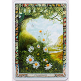 Druid Plant Oracle Deck by Philip Carr-Gomm, Stephanie Carr-Gomm - Magick Magick.com