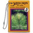 Edible Wild Foods Playing Cards by U.S. Game Systems, Inc. - Magick Magick.com