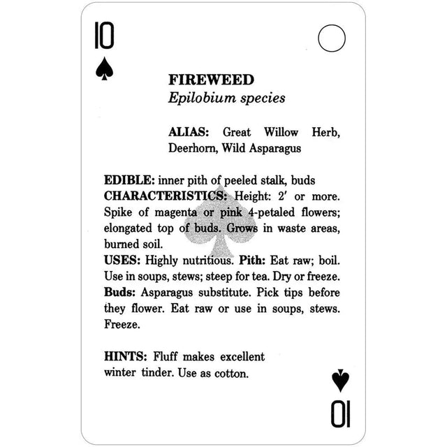 Edible Wild Foods Playing Cards by U.S. Game Systems, Inc. - Magick Magick.com