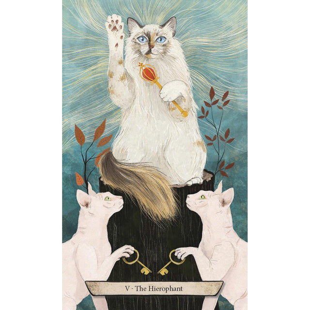 Enchanted Forest Felines Tarot by Jen Sankey, Iva Dukic - Magick Magick.com