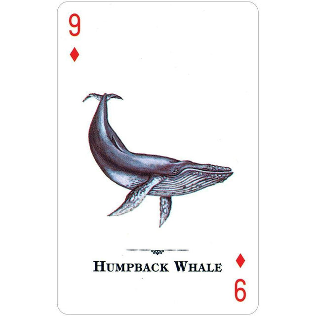 Endangered Species of the Natural World Playing Cards by U.S. Game Systems, Inc. - Magick Magick.com