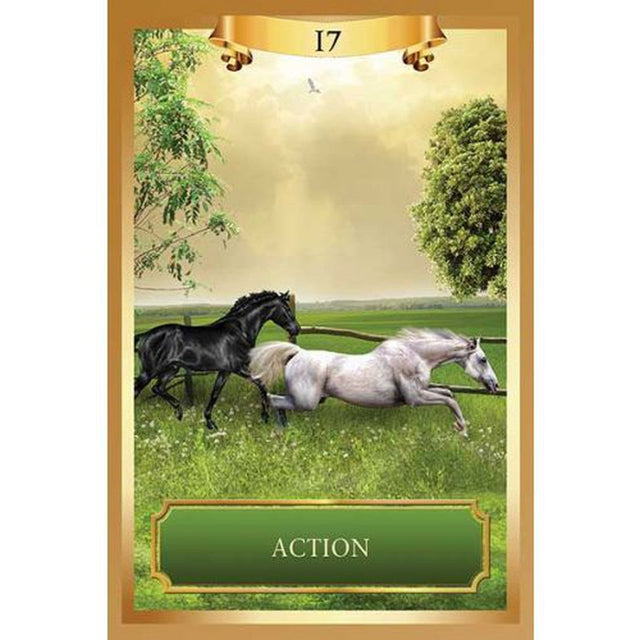 Energy Oracle Cards by Sandra Anne Taylor - Magick Magick.com