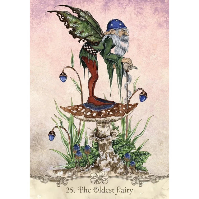 Fairy Wisdom Oracle Deck and Book Set by Amy & Nancy Brown - Magick Magick.com