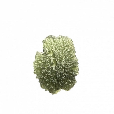 Genuine Moldavite Rough Gemstone - 5.8 grams / 29 ct (28 x 22 x 7 mm) - Magick Magick.com